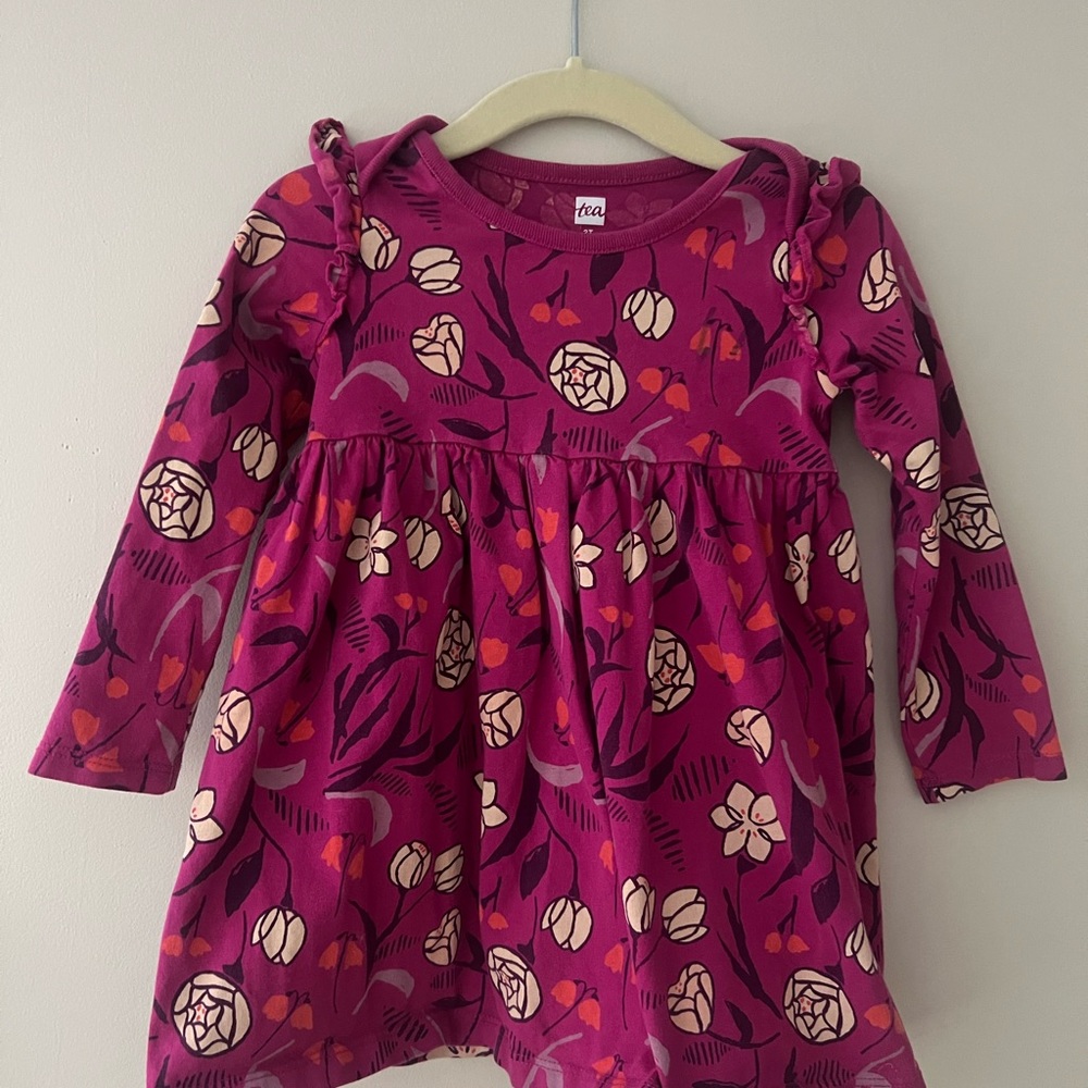 Tea Collection long sleeved Floral Dress